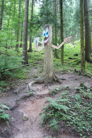 Wo ist der Schatz bei den Waldmeisterschaften? Foto (c) Kinderoutdoor.de