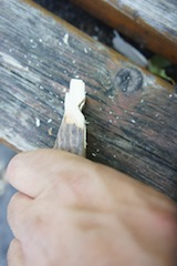 Diese Kerben halten später den Gummi. Foto (c) kinderoutdoor.de