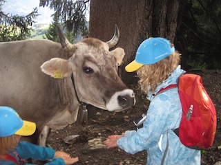 Auf den Wegen zu Berghütten trifft man die lustigsten Leute; meint die Kuh! Foto (c) Kinderoutdoor.de