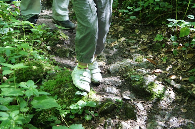 Mit schicken Halbschuhen durch den schwäbischen Dschungel? Geht doch! Foto(c) Kinderoutdoor.de