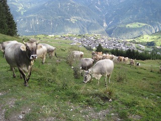 Familienurlaub in Tirol: Geocaching motiviert die Kinder zum Wandern. Foto (c) Kinderoutdoor.de