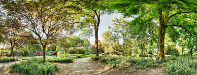 Der Park vom Aasee ist einer der Schönsten im Land.   Foto (c) Sascha Hübers  / pixelio.de