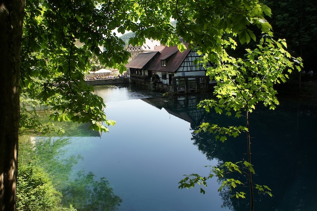 Kleiner Fluss, große Quelle: Die Blau. foto (c) Kinderoutdoor.de