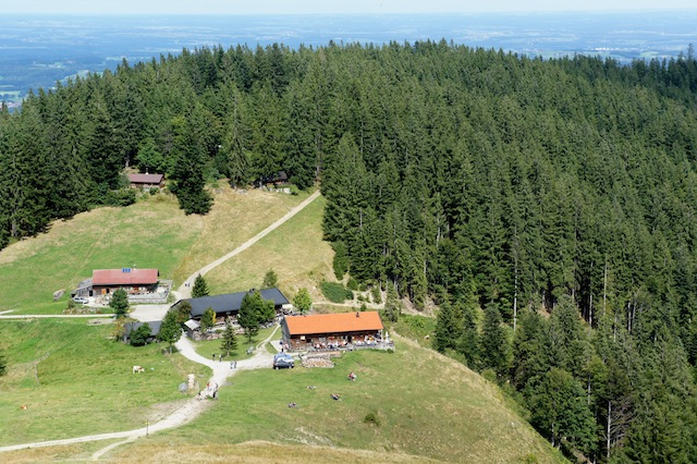 Aufi zur Gindelalm. Kleine Kinder kommen in die Kindertrage. foto (c) Kinderoutdoor.de