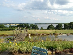 Wilde, unberührte Landschaften: Das ist die Mecklenburgische-Seenplatte Foto (c) Steffen P.