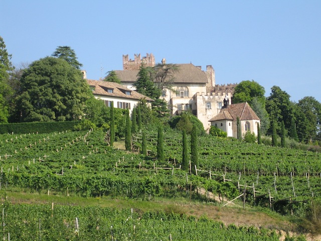 Eppan: Das sind Weinberge, Obstgärten, Ansitze und besondere Menschen. foto (c) Kinderoutdoor.de