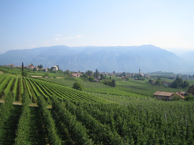 Der Blick Richtung St. Pauls und Bozen. Foto (c) KInderoutdoor.de