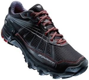 Ein schwarzes Wunder: Der Dynafit Panters GTX. Foto (c) Dynafit