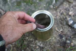 Nun kommt Holz hinein in die Brennkammer vom Kocher.  Foto (c) Kinderoutdoor.de