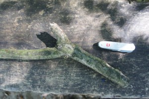 Zum Schnitzen von unserem Kerzenhalter braucht Ihr nur eine Astgabel und ein Taschenmesser. Foto (c) kinderoutdoor.de