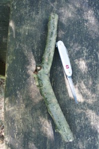 Nun die Astgabel zurecht schneiden. Foto (c) Kinderoutdoor.de