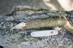 Nun das Ende vom Kerzenhalter anspitzen. Foto (c) kinderoutdoor.de