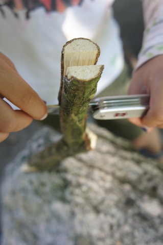 Nun spaltet Ihr vorsichtig die Astgabel. foto (c) kinderoutdoor.de