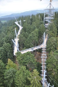 Ja wos isch den desch? Der Skywalk im Allgäu und über allen Wipfeln Ruh! Foto (c) Skywalk Allgäu