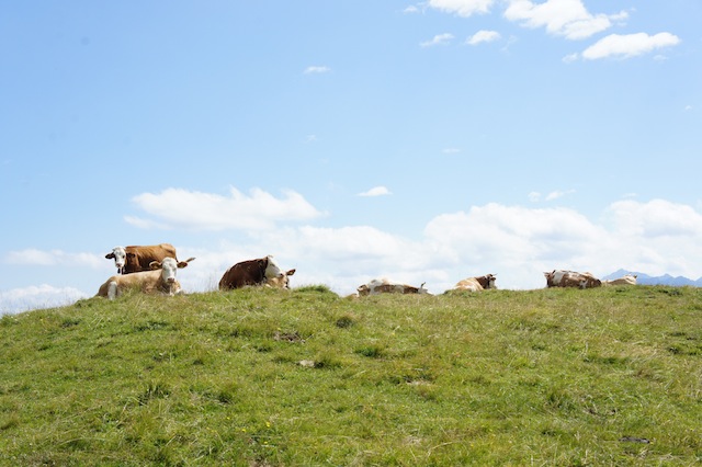Mit den Kindern in die Berge: Ganzjährig sind manche Berghütten geöffnet. Foto (c) Kinderoutdoor.de